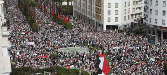 Moroccan group marks 77th anniversary of Nakba with call for marches