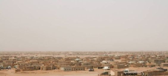 Polisario : Gunfire exchange between militias on behalf of drug traffickers