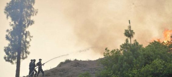 Forest fires down 86% in Morocco as authorities prepare for summer 2025