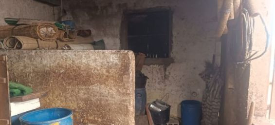 Outrage erupts over filthy conditions at a slaughterhouse near Essaouira