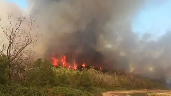 Suspect arrested for alleged arson and drug use in Houara forest fire