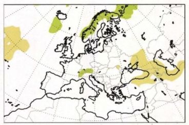 Sumar rejects Spanish Meteorological Agency’s use of Morocco’s full map