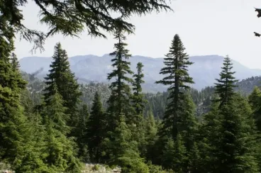 Rabat: La ANEF sensibiliza a los estudiantes sobre los riesgos de incendios forestales