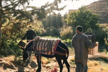 ازدهار السياحة في المغرب يتطلب اعتماد سياحة مسؤولة