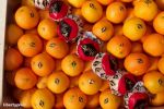 Maroc : Les exportations de clémentines ont augmenté de 13 %