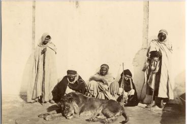 Leones del Atlas: De símbolos nacionales a cazados en la historia de Marruecos
