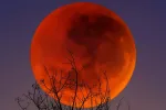 Eclipse : La prochaine «lune de sang» sera visible au Maroc le 7 septembre 2025