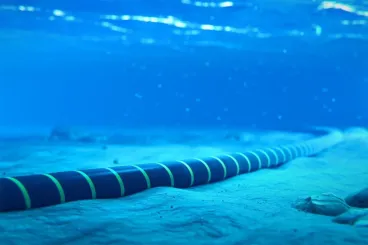 Un câble sous-marin à fibre optique reliera les îles Canaries et le Maroc d'ici 2028