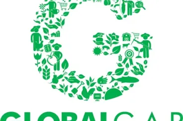 GlobalGAP certification in Sahara sparks controversy with Polisario NGO