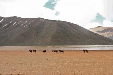 Nomad #103: Izourar y su lago efímero sacralizado por los nómadas