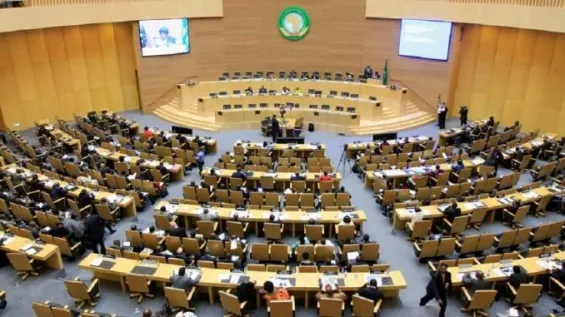 The Pan-African Parliament