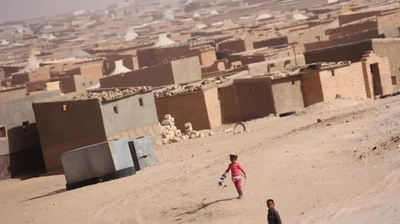 Spain approves the reception of 3,000 children from the Tindouf camps