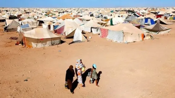 قبل المسيرة الخضراء..  الجزائر  أقامت 