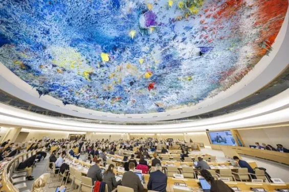 من الأمم المتحدة.. مطالب بضمان 