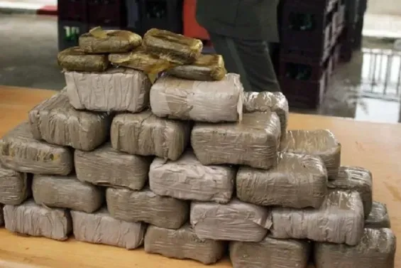 Over 4.9 tons of cannabis resin seized in foiled smuggling attempt near Sala Al Jadida