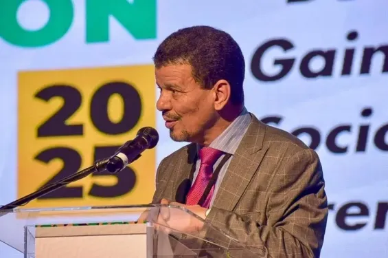 Mohamed Yeslem Beissat / DR