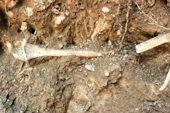 Human remains of minor found during hotel maintenance in Marrakech
