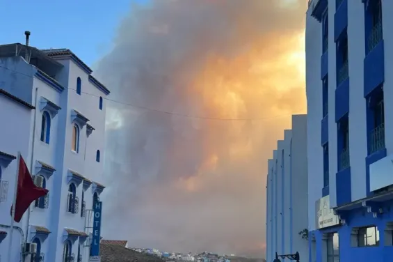 Large forest fire in Chefchaouen region mobilizes emergency teams