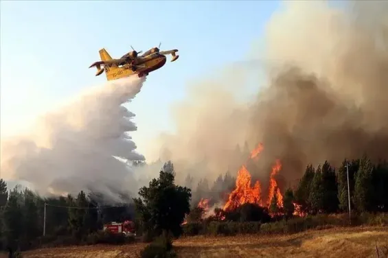 Fire contained in Chefchaouen's Derdara forest with ongoing efforts