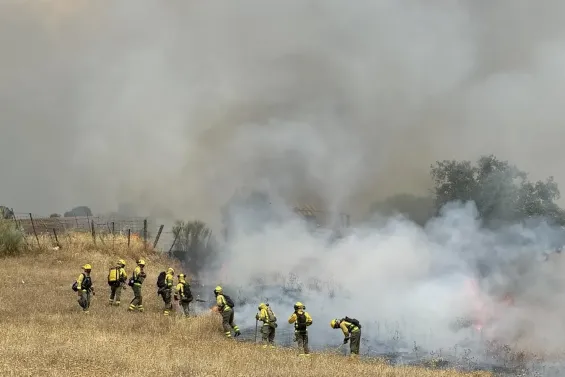 Moroccan man arrested for setting fire in Upper Manzanares River Park near Madrid