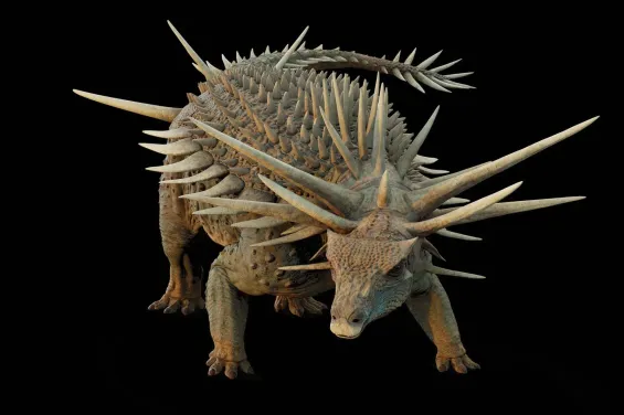 Un fósil de dinosaurio cubierto de púas descubierto en Marruecos