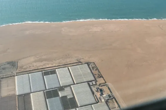 Spanish People's Party calls for exclusion of Western Sahara from EU trade deals
