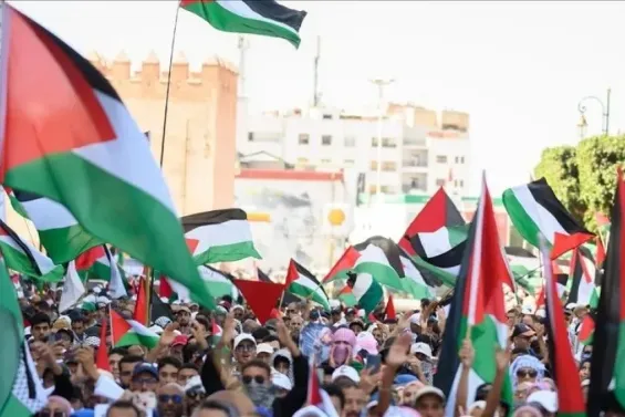 More than 9,800 sit-ins and 660 marches held in Morocco since the start of the war on Gaza