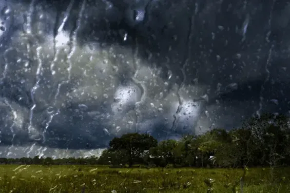 Thunderstorms expected in Morocco this Wednesday