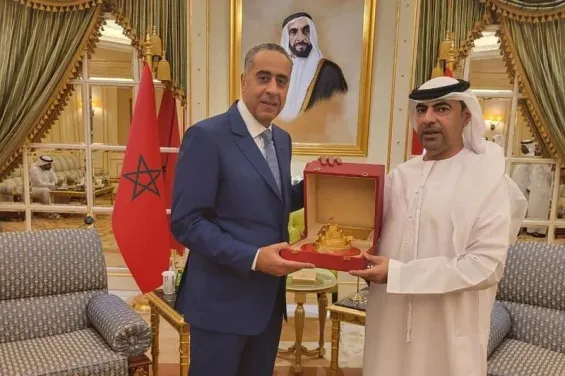 Abdellatif Hammouchi on a working visit to the United Arab Emirates