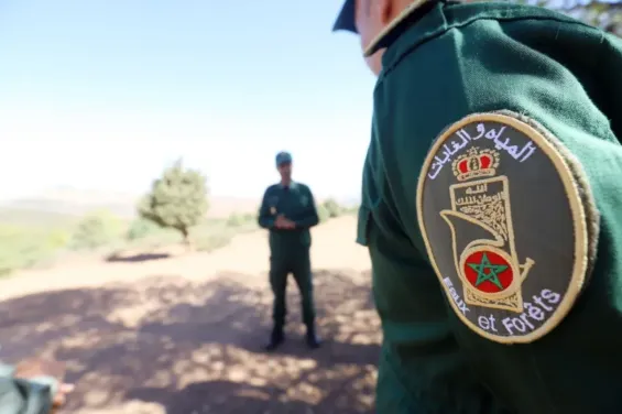 Major wildlife trafficking network dismantled in Sidi Bouknadel operation