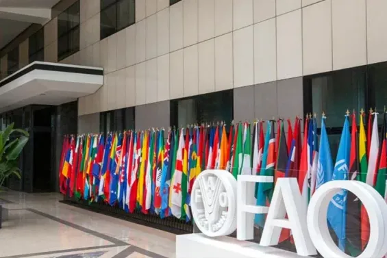 Morocco's AMCI wins FAO award for excellence in south-south cooperation