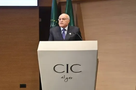 Algiers hosts conference on colonialism crimes in Africa supporting Polisario's cause