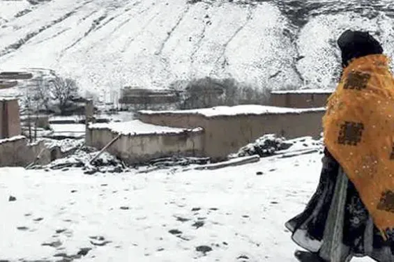 Cold wave : Nearly 833,000 people affected by national plan