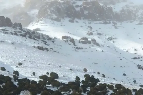 Snowfall heavy rains and strong winds to hit Morocco from Tuesday to Wednesday