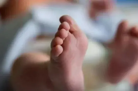 Newborn's body discovered in Nador province, investigation launched
