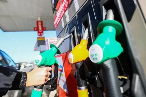 Petroleum supplies in Morocco remain stable, with 617,000 tons available