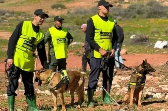 Helicopter, drones and sniffer dogs deployed in search for missing girl in Azilal