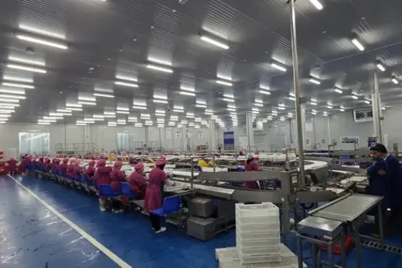 Tunamax in Berrechid, Morocco’s largest Tuna project