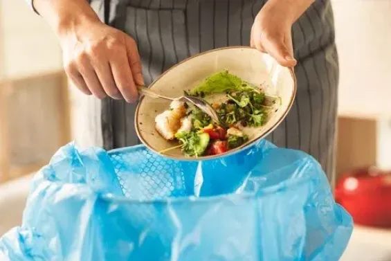 Morocco wastes 4.2 million tons of food a year, Council warns