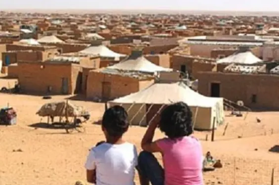 Tindouf camps: Polisario seeks to cover up a racist assault