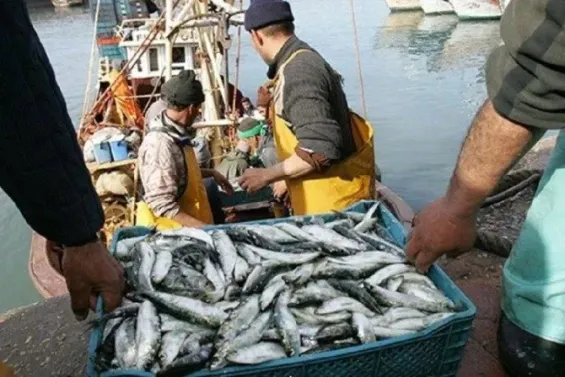 Sahara: The European Union conducts an audit in Dakhla
