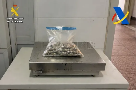 Spanish Civil Guard arrests seven Moroccans for hashish smuggling at Melilla Airport