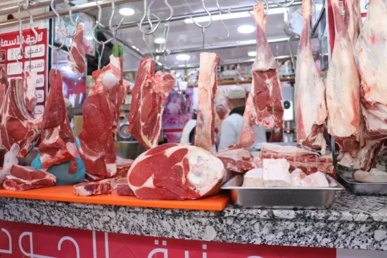 End of drought, but no relief in Morocco’s red meat prices