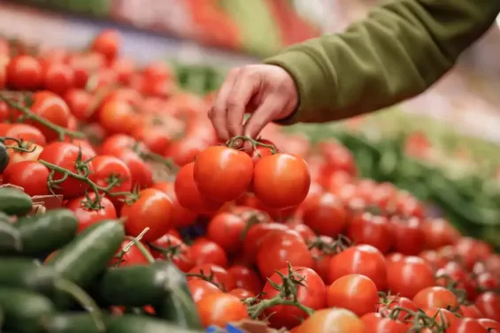 Morocco suspends tomato exports to Africa, limits supply to Europe to stabilize prices