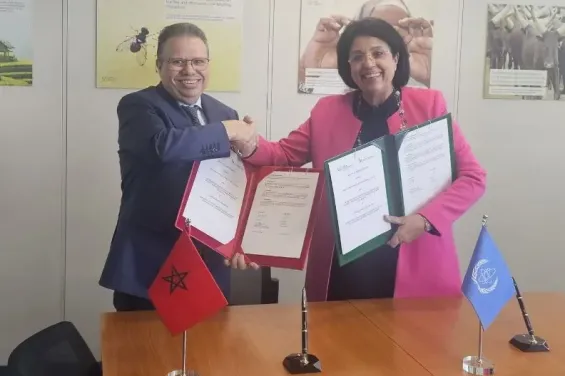 Mohammed VI Foundation and IAEA forge strategic health partnership