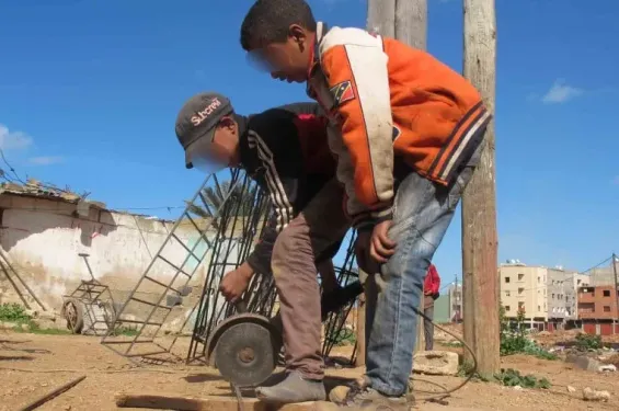 CESE urges zero tolerance policy on child labor in Morocco