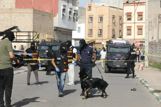 Arab states voice support for Morocco after foiled terror plots