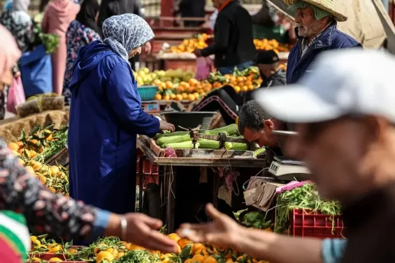Morocco economic growth fails to reach households, report finds