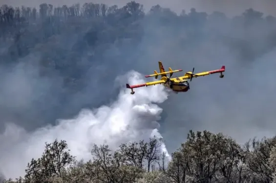 Mediterranean fires: Why does Morocco fare better than Algeria?