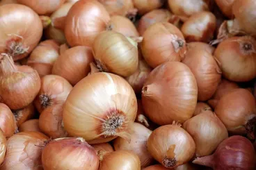 Spanish onion imports gain ground as prices soar locally